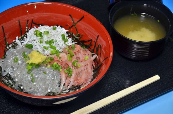 【神奈川県内・町田発】 新春富士山本宮浅間大社初詣と 駿河湾の恵み!生しらす&生桜えび&釜揚げしらす丼1